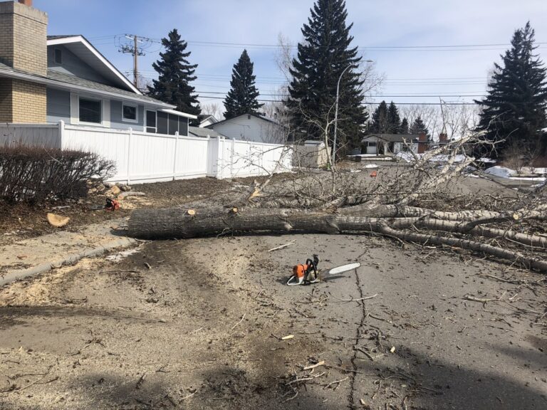 Services A1 Tree Service, Calgary